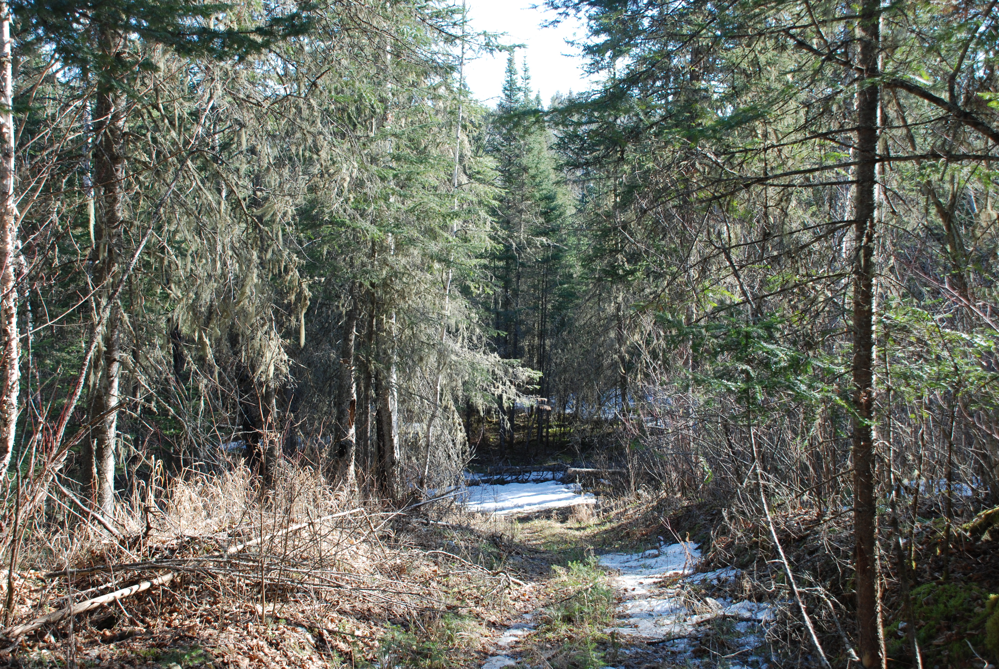 DSC_0014 Canoe Capital Realty